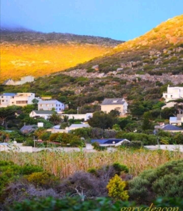 Lavender Cape Town